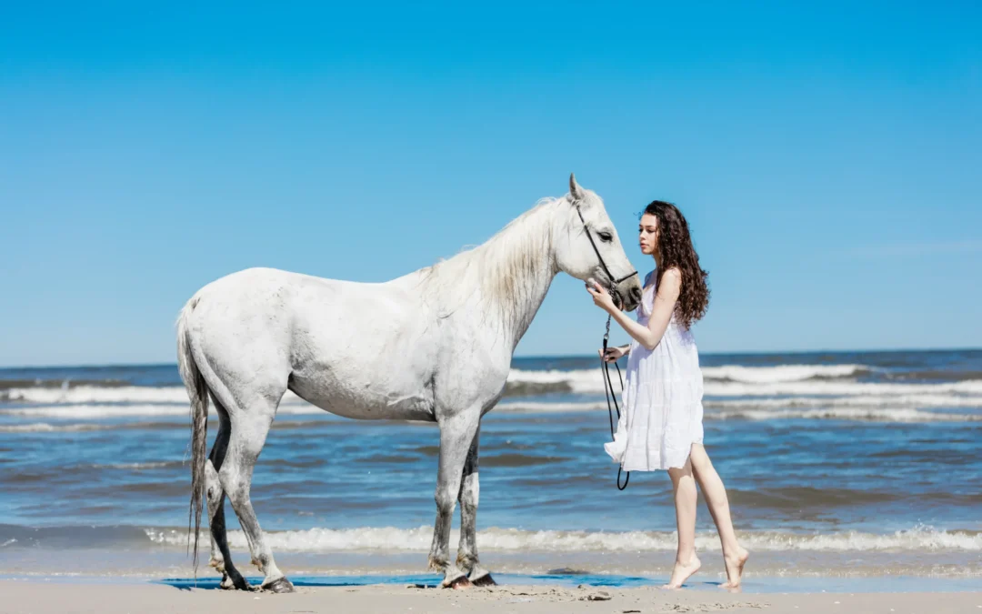 Warmblood and the princess of Seawings